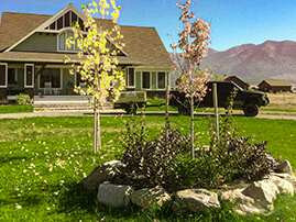 Boulder Mulch Edging