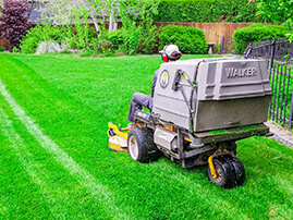 Lawn Mowing Bagging Grass