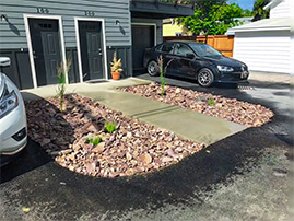 Planting Flower By Front Door