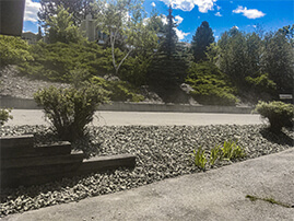 Plantings In Rocks By Street