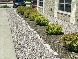 Bushes In Front of Building