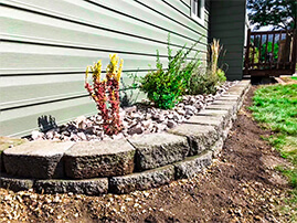 Small Flowers By Side Of House