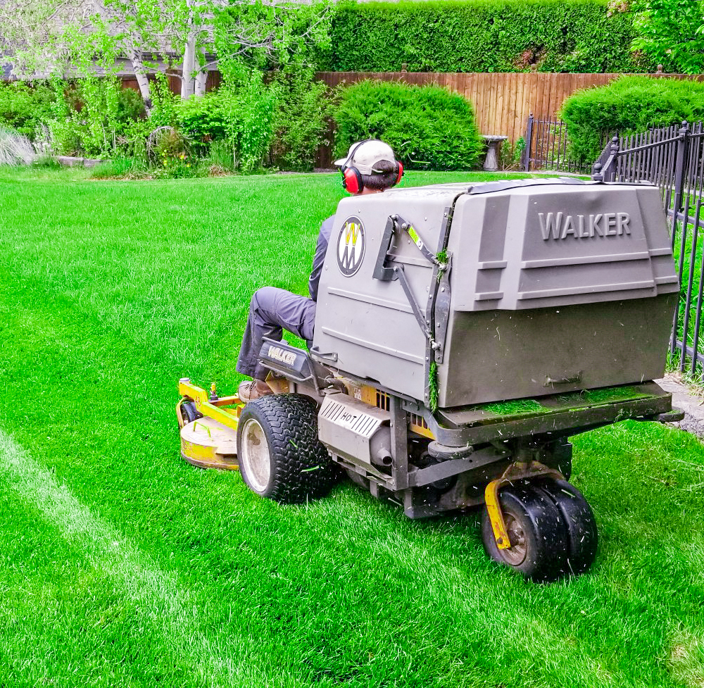 Yard Being Mowed