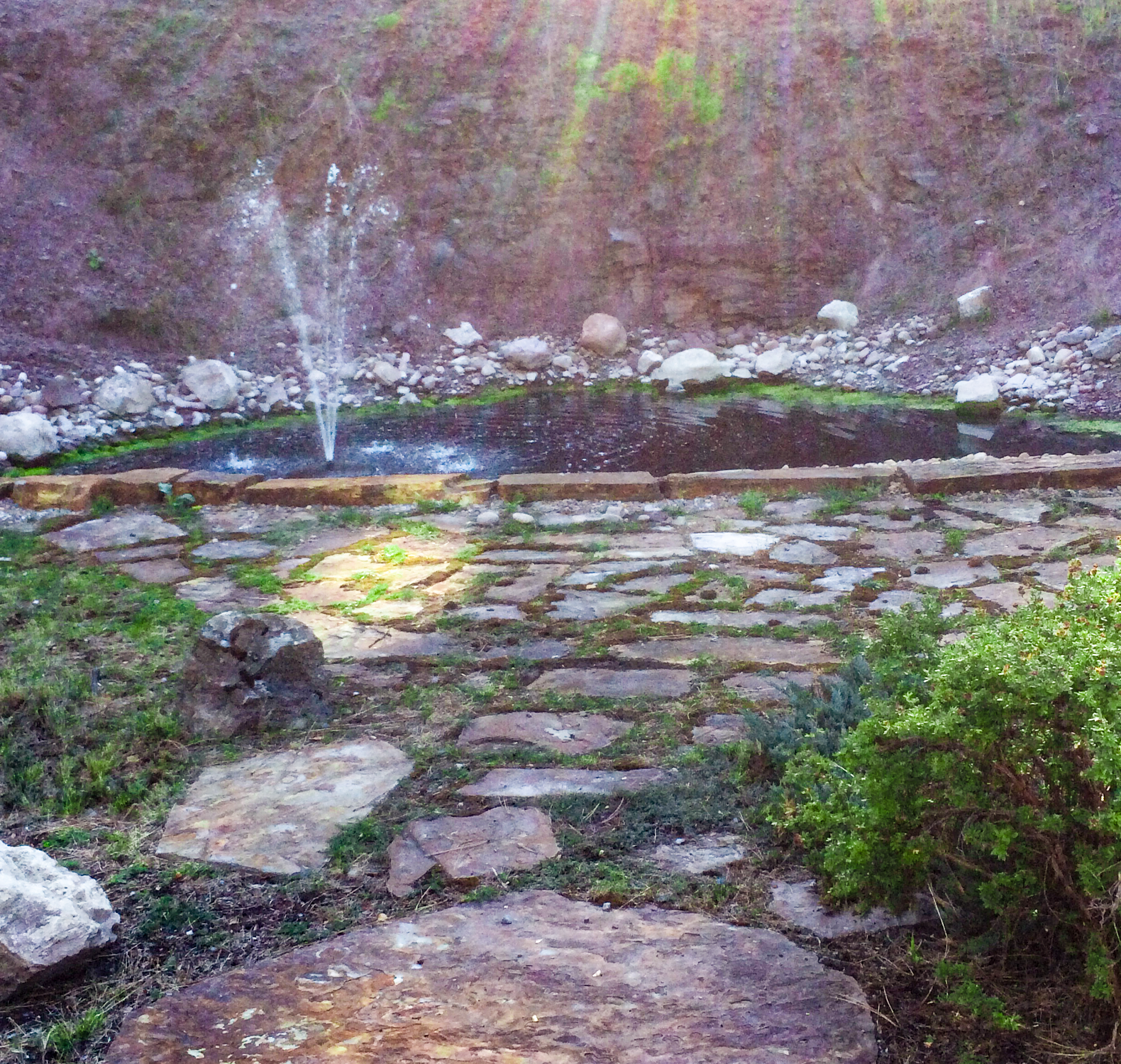 Pond With a Fountain