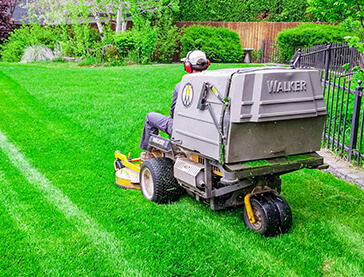 Person Mowing A Lawn