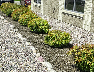 Bushes In The Front Of A Building